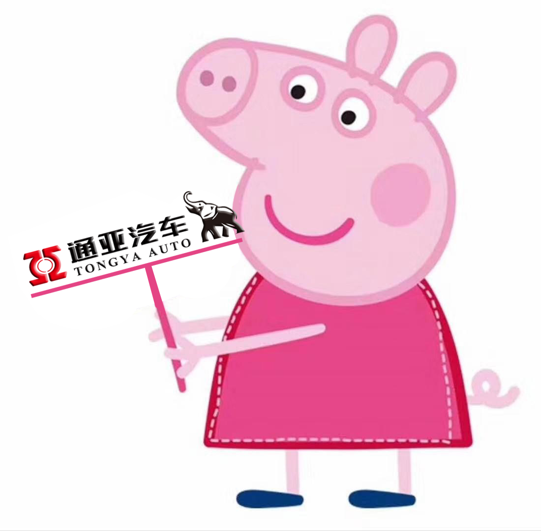 通亞汽車(chē)-打造您心中的PeiQi